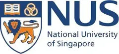 national-university-of-singapore-research-paper-writing