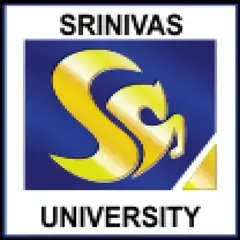 research-paper-writing-service-srinivas-university
